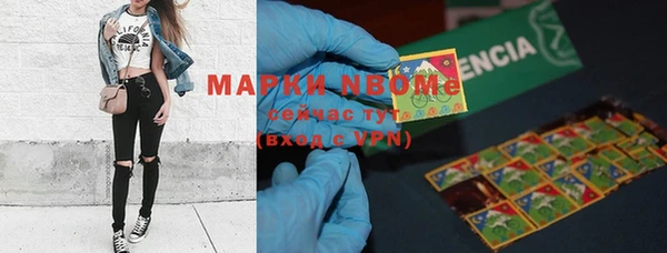 прущие грибы Баксан