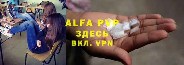 прущие грибы Баксан