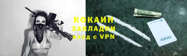 прущие грибы Баксан