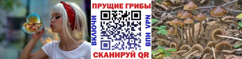 Галлюциногенные грибы Magic Shrooms  МЕГА ONION  Корсаков 